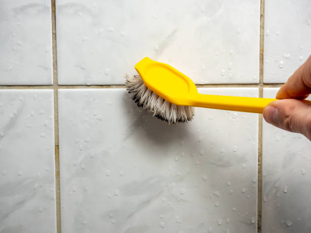 Best Mold Removal Company Near Me  in Bensville, MD