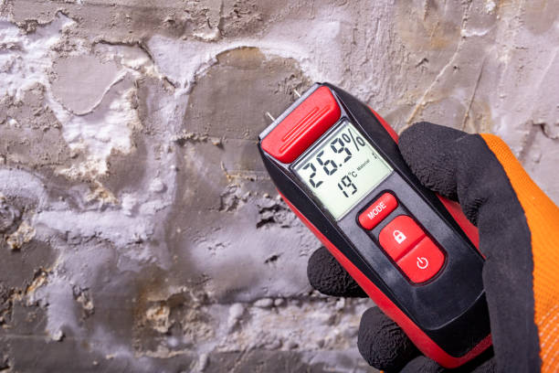 Crawl Space Mold Removal in Bensville, MD