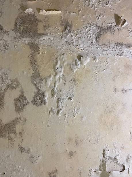 Water Damage Restoration in Bensville, MD